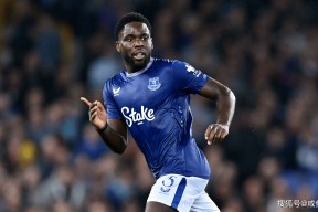 九游体育app转折点纽卡斯尔门线救险，英超今夜攻防权衡，悬念犹存，年轻球员得到机会的简单介绍